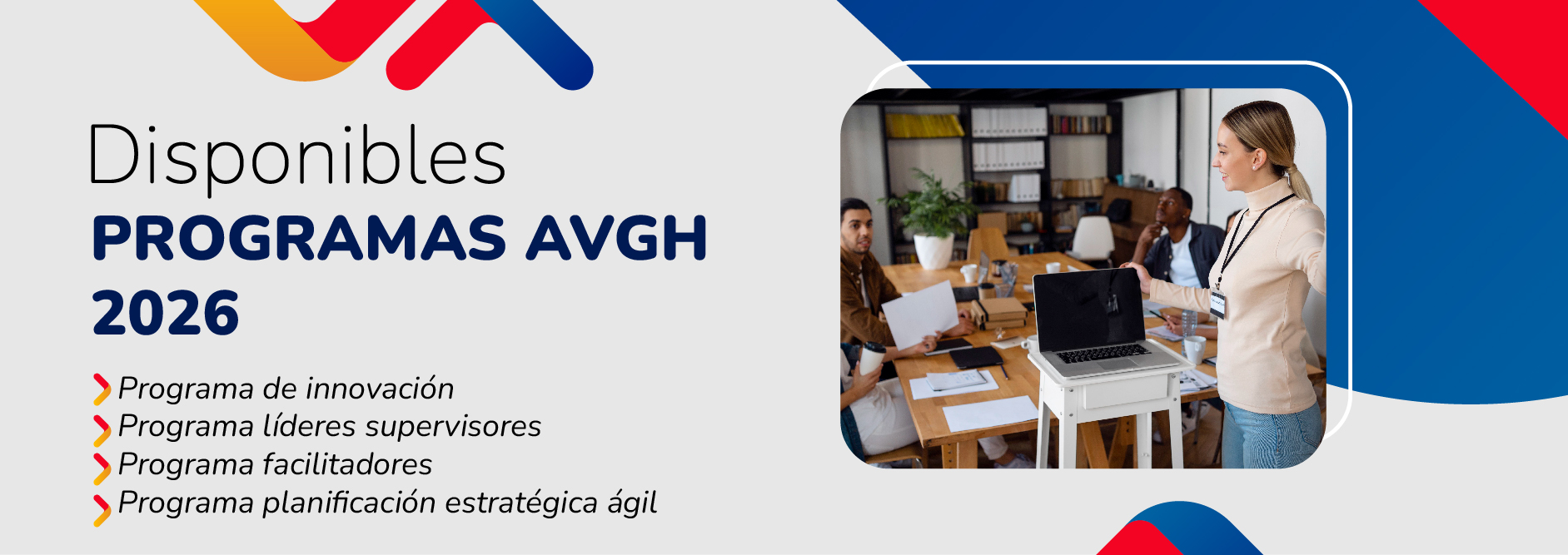PROGRAMAS AVGH: SUPERVISIÓN Y LIDERAZGO, INNOVACIÓN RRHH, FACILITADORES